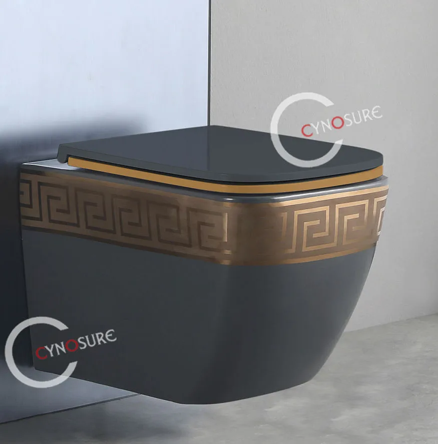 High Quality Soft Closing Seat Bathroom Wall Mounted Toilet Composting Ceramic Wall Hung Toilet