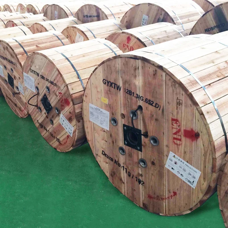 outdoor single mode G652D armoured fiber optical cable 4core 8core 12core 24core fibra optic cable GYXTW