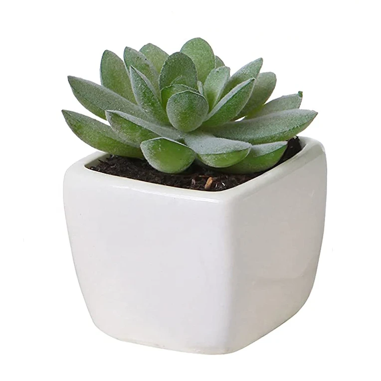 top seller artificial plants plastic succulent plant faux aloe mini small  bonsai in pot for office