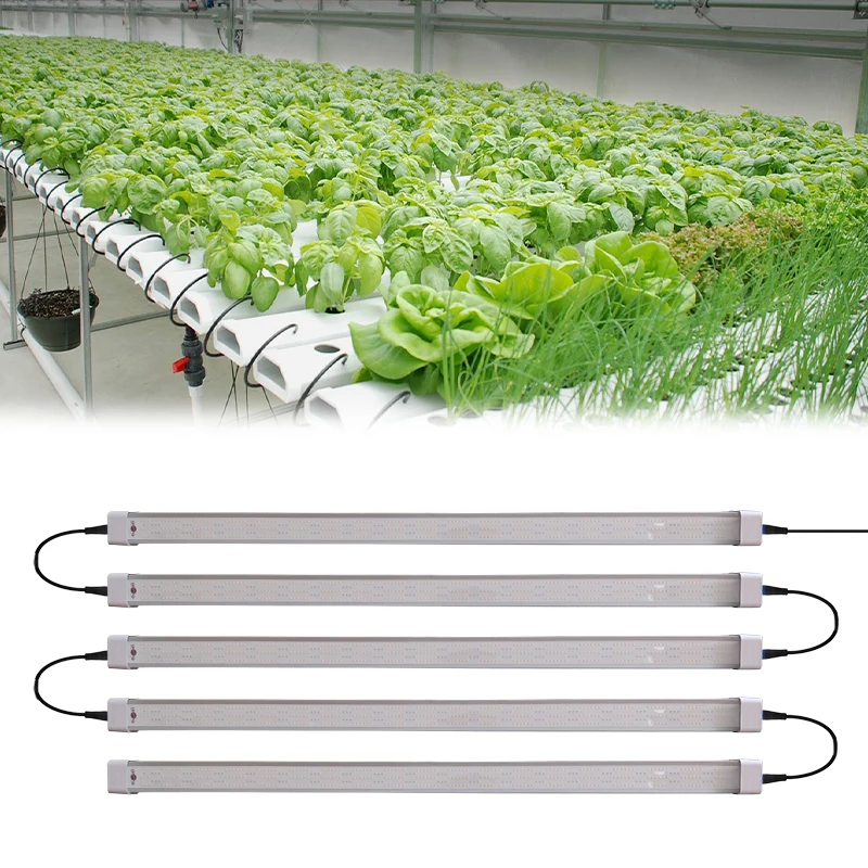 Learnew Wholesale Plant Hydroponics Vegetable Customized Spectrum Link T8 LED Grow Light