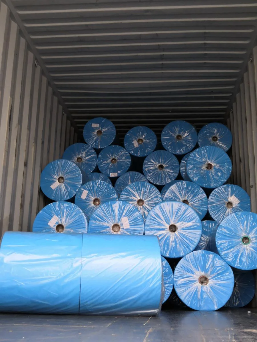 Factory Promotional PP Laminated Woven Fabric Roll Bed Sheet Fabric Roll