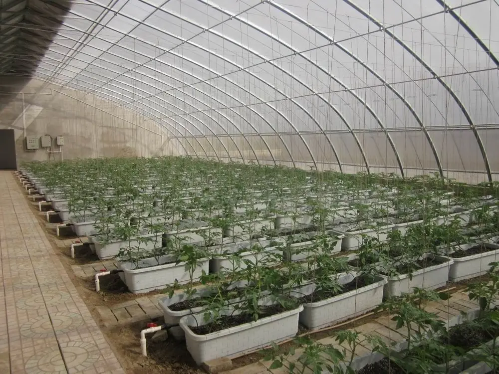 indoor grow box nft gully system hydroponic growing tray