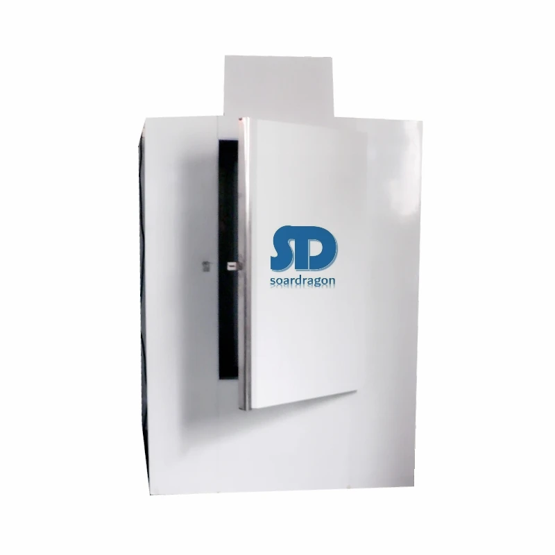 Soardragon factory direct solid door ice bagged gas station ice storage freezer