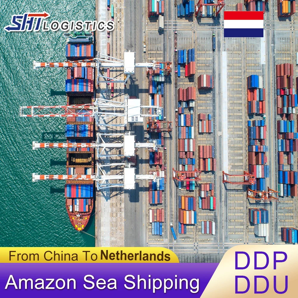 ddp sea cargo services shipping rates FBA Amazon freight forwarder from china to USA/Europe/UK/CANADA logistics agent