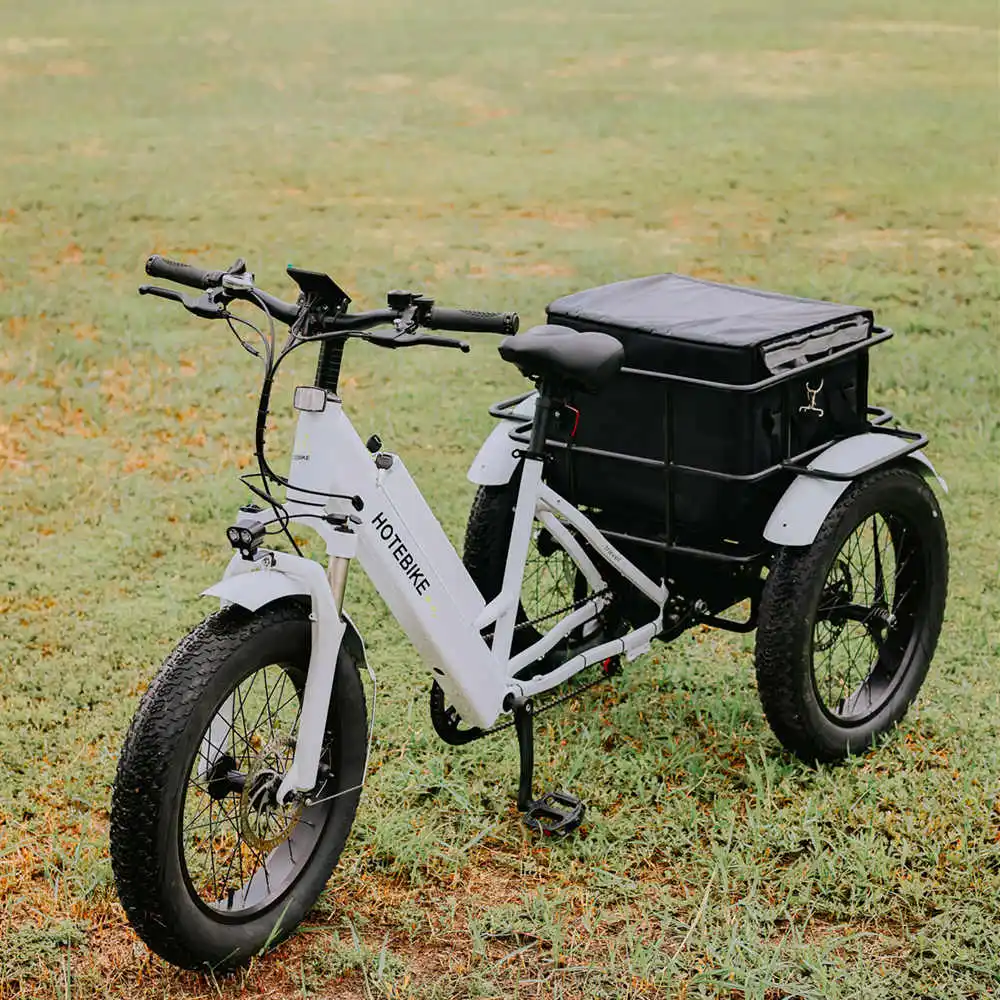 Tricycle electric 3 wheel electric tricycle motorcycle 500w 3 wheels electric bike with roof electric tricycle for sale