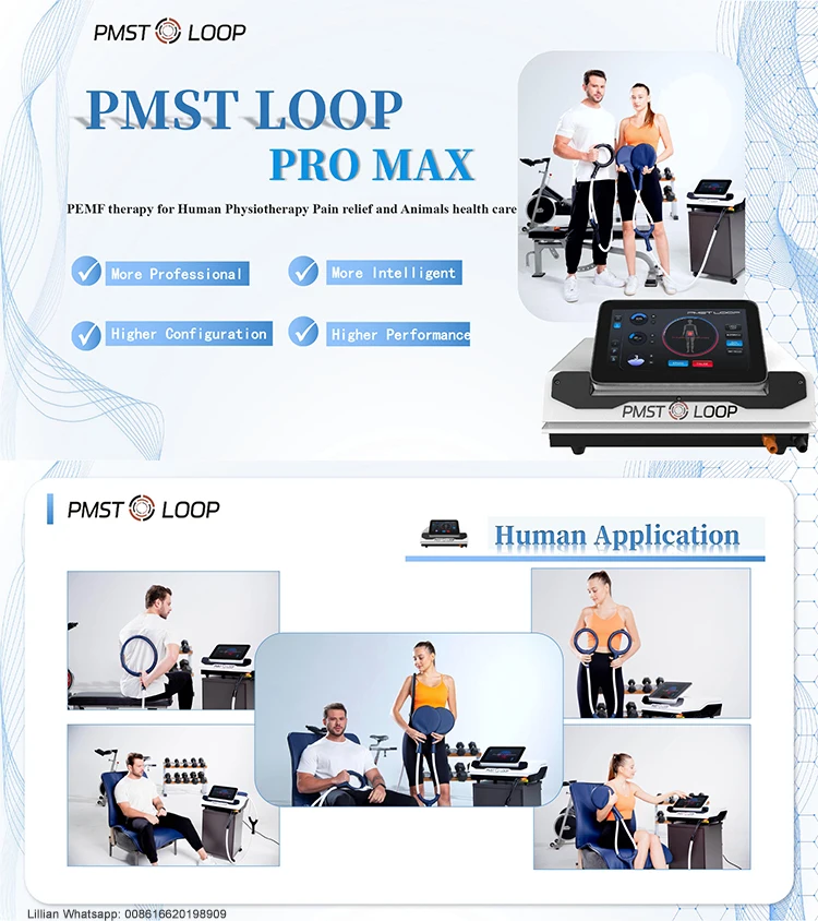 Pmst Loop Pemf Mat Bed Terahertz Foot Knee Body Pain Relief Magnetic Field Therapy Physio Magneto Device