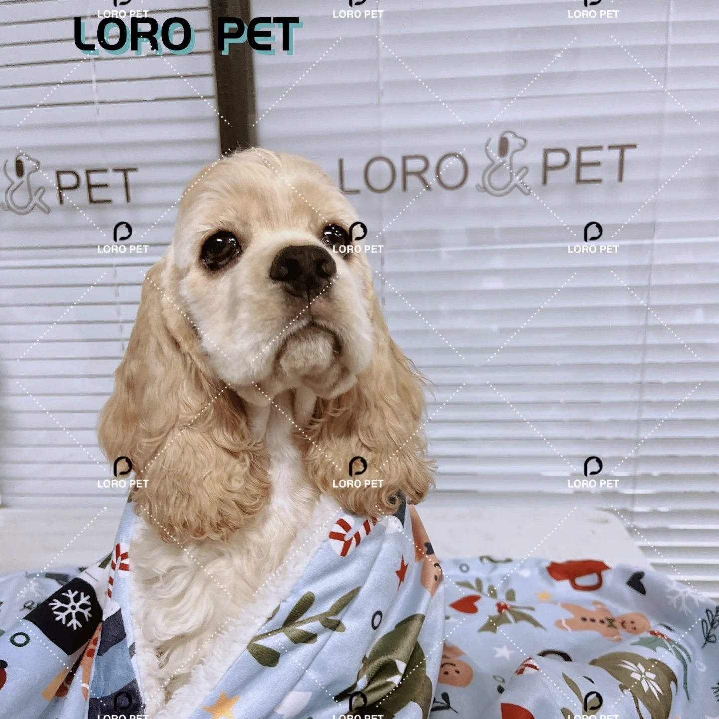Hot Selling Washable Comfortable Soft Blanket Dogs Pet Bed Accessories printed pattern blanket custom design