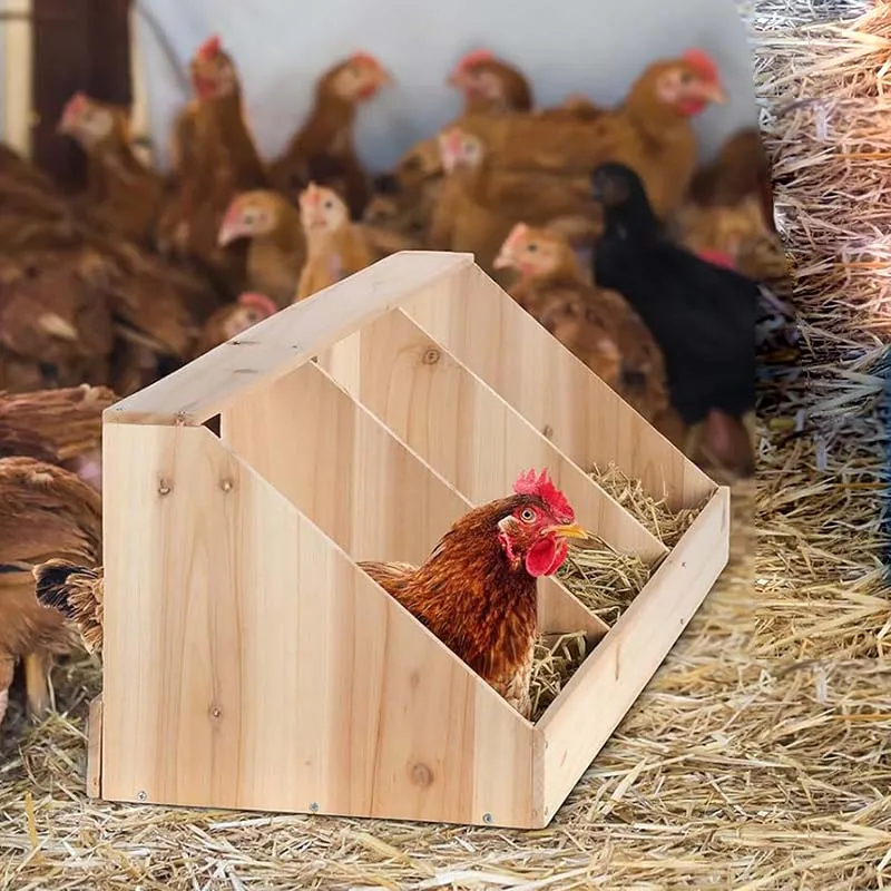 Wood Chicken Nesting Box 3 Compartment Room Hen Chicken Laying Boxes house Versatile Use Easy Assemble for Duck Poultry