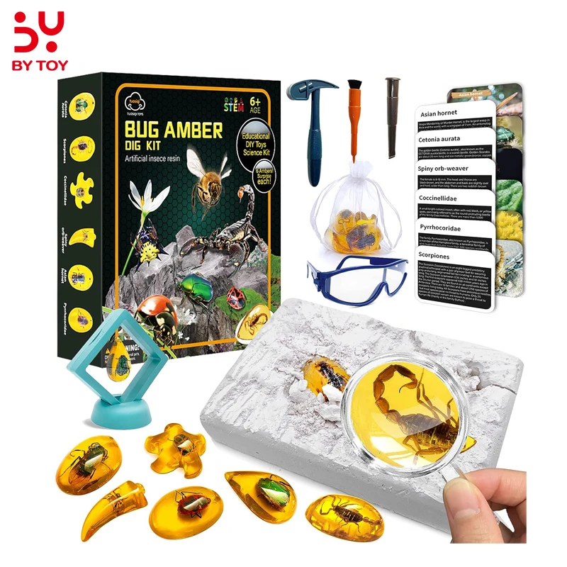 Bug Amber Archaeological Science Experiments For Kids Educational Diy Stem Amber Dig Kit
