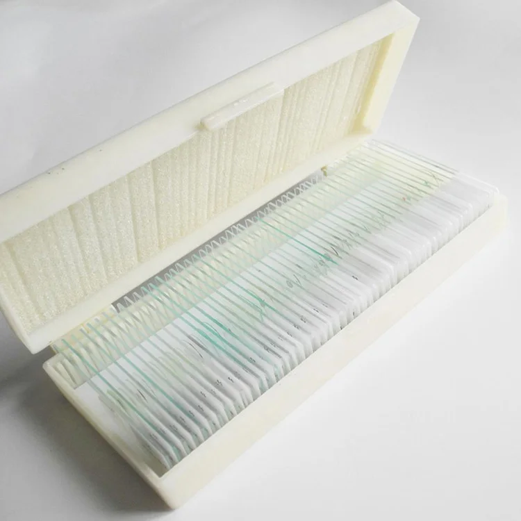 Medical Parasitology teaching used 50 Pieces Different Medical Parasites Prepared Microscope Slides