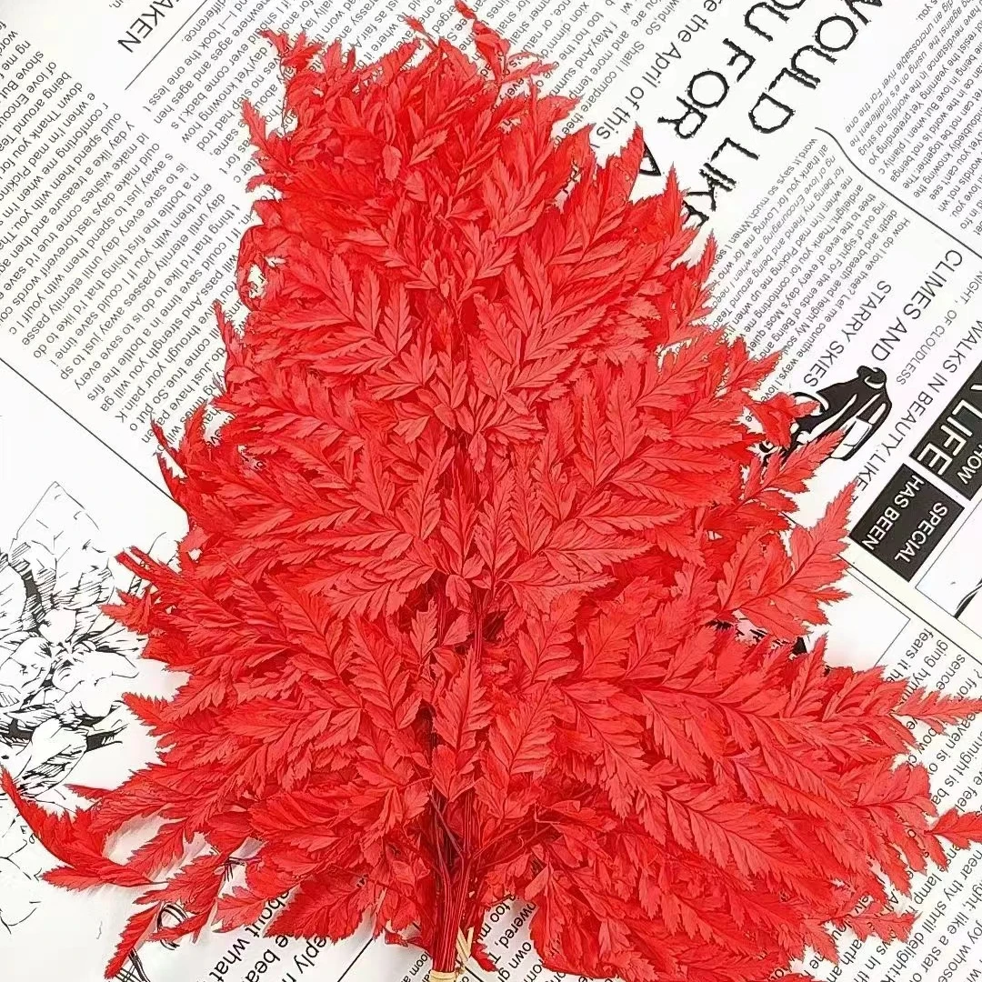 High Quality Flowers Arrangement Decorative Materials Preserved Alpine fern for decor
