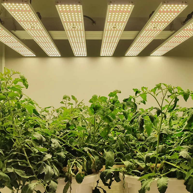 Samsung LM301H 301B 600w 800w Spider Bar Full Spectrum 660nm Indoor Plant Led 8*8ft Grow light For Vertical Farming Horticulture