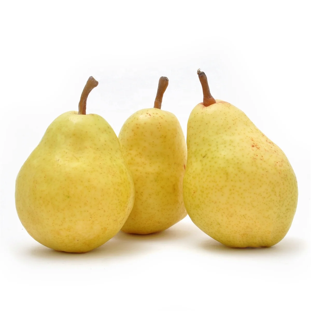 Quality Fresh Sweet Pears on 30% Discount Sale Ready for Export