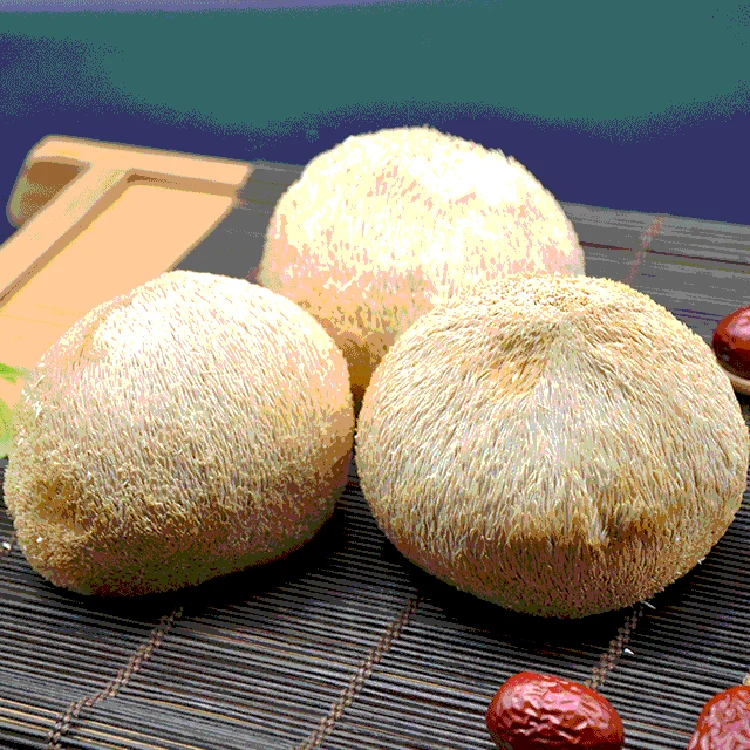 Factory Hot Sales Natural Mushroom Bulk Hericium Erinaceus Dried Lion Mane Hericium