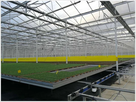 Hydroponics System Greenhouse Ebb and Flow Adjustable Flood Rolling Tray Tables for Sale