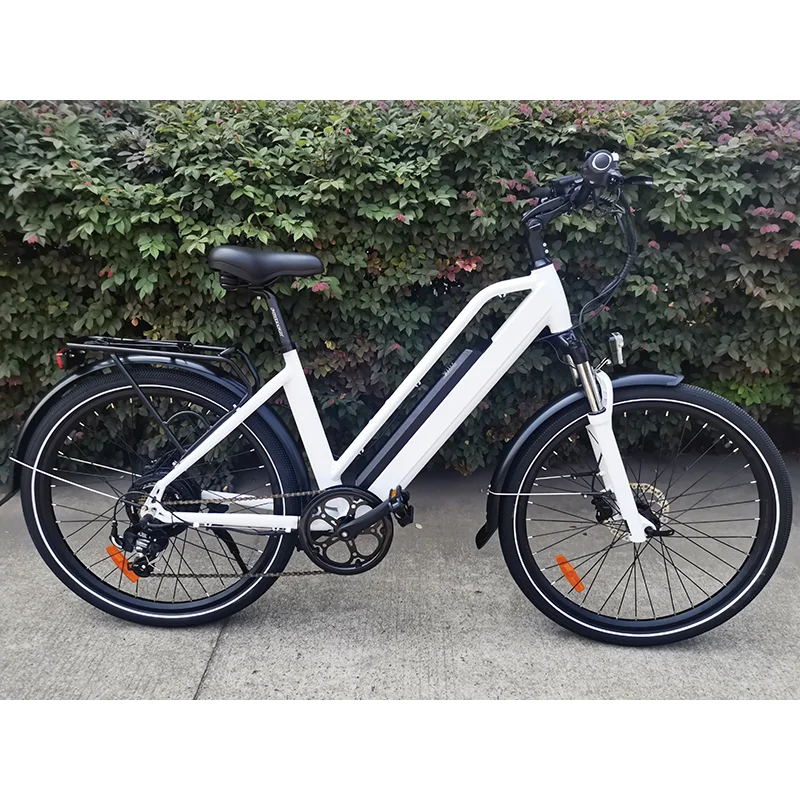 ANLOCHI high quality full suspension electric city bike 250W 36V/48V road bicycle 7 speed ebike for women