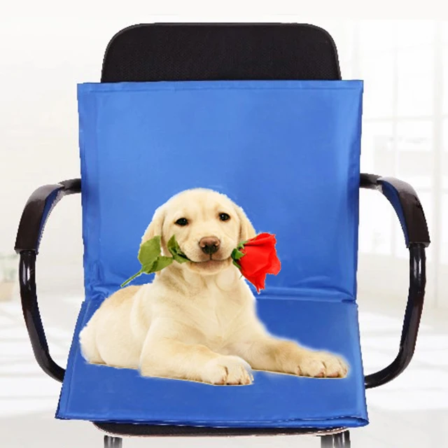
Cheap Hot Sale Top Quality Cooling Toy Foldable Dog Mat Cooling Pet Ice Cool Waterproof 
