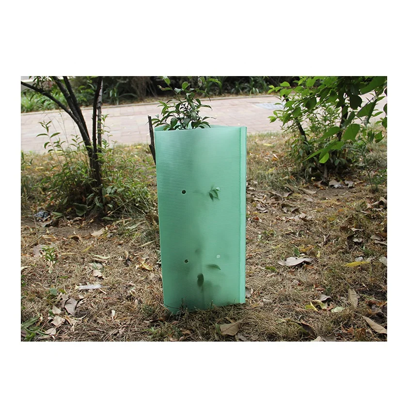Plant And Tree Guard Protectors In Outdoor Garden