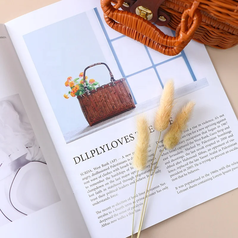 Fashion OEM Journal Book printer Print Soft Cover Full color Porter Custom Magazine Printing