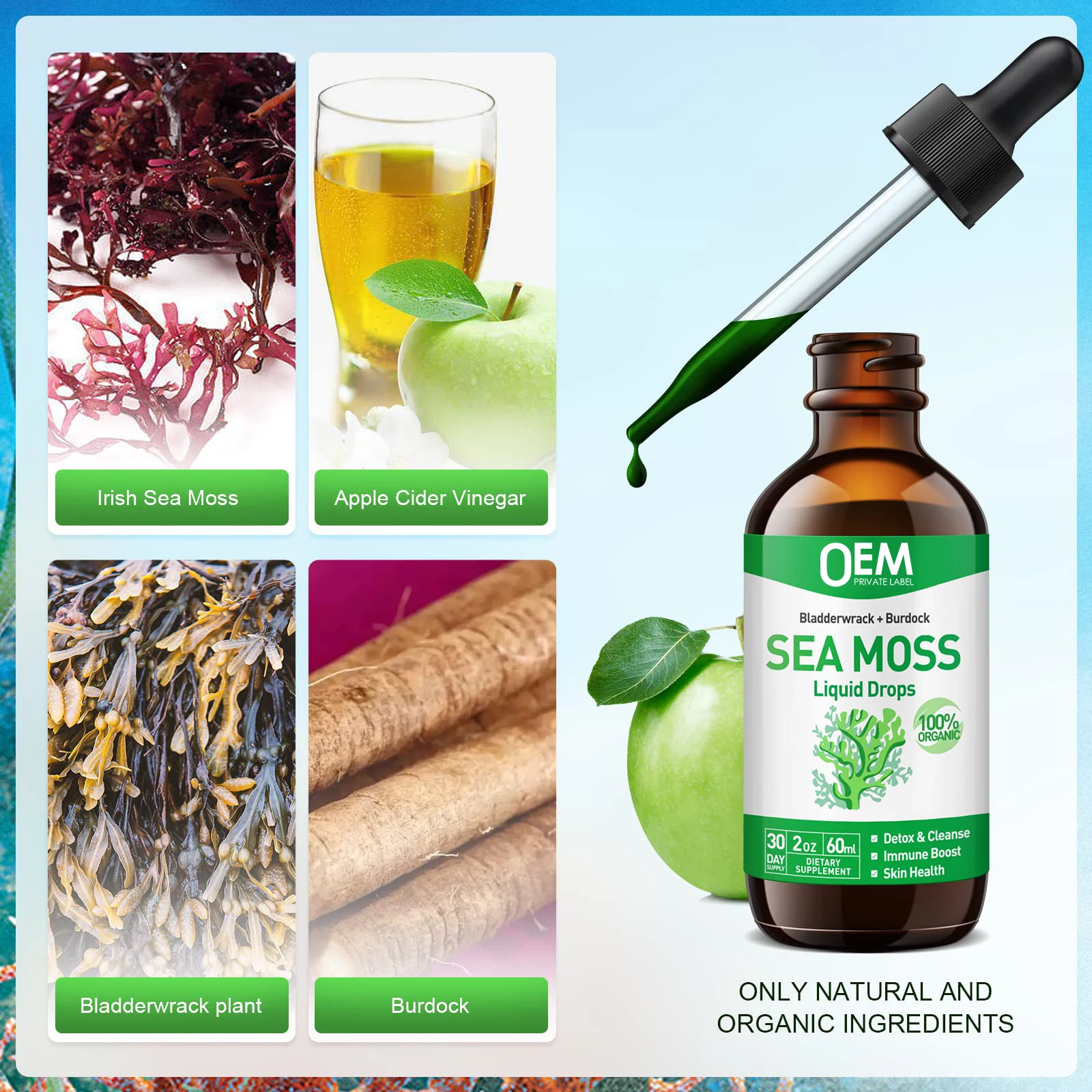 Sea Moss Liquid Drops Private Label Organic Sea Moss Liquid Drops Oil Bladderwrack Burdock Root Extract Seamoss Drop