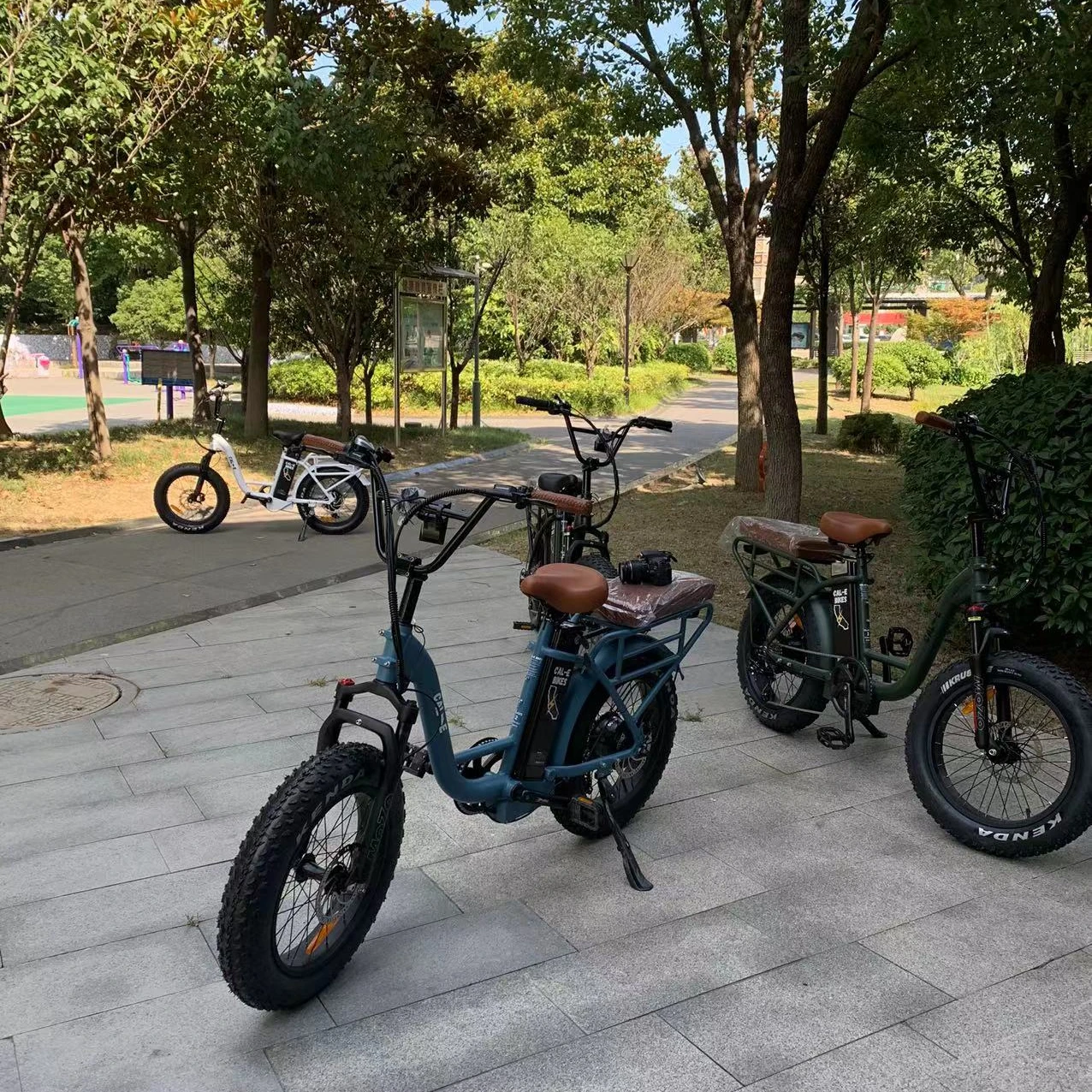 2022 Ristar cycle family double seat electric bicycle 48v 500w 750w ebike snow tire strong powerful samsung battery 20Ah ebike