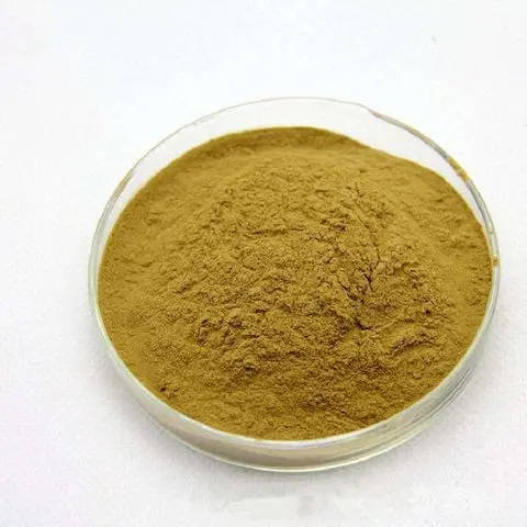 Hot  sell Hops Extract Powder 0.1%UV Flavonoids Beer Raw Materials Hops Flower Extract