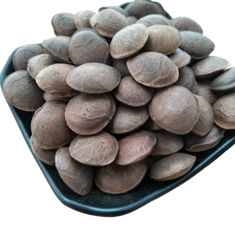 Yin Jia Guo Wholesale Organic Sacha Inchi Dried Plukenetia Volubilis for Oil