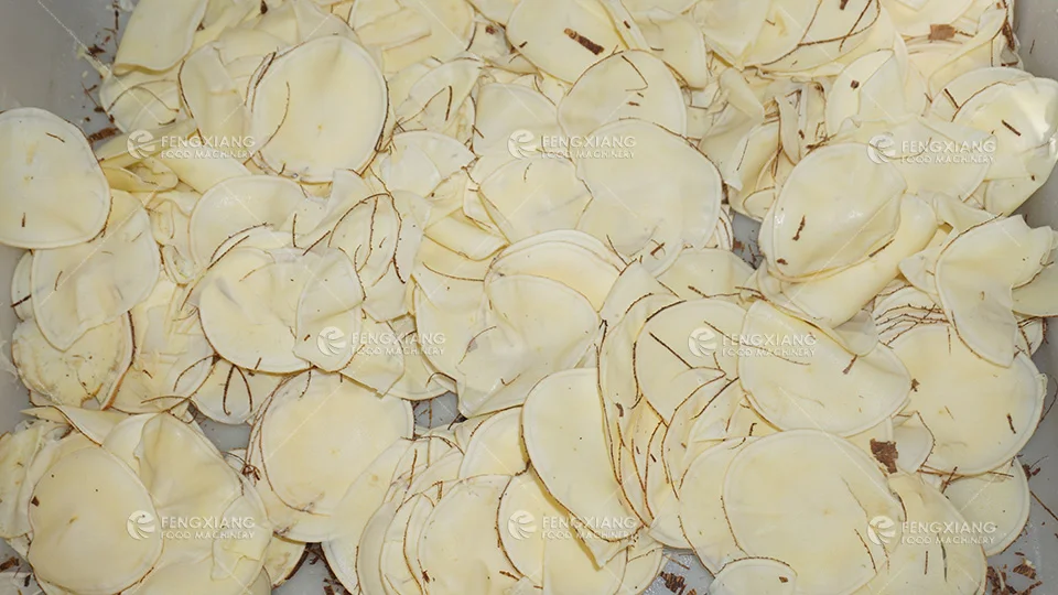 FC-305 Industrial Leafy vegetable slices strips cutting flaking machine coconut bitter gourd chopping shredding cutter