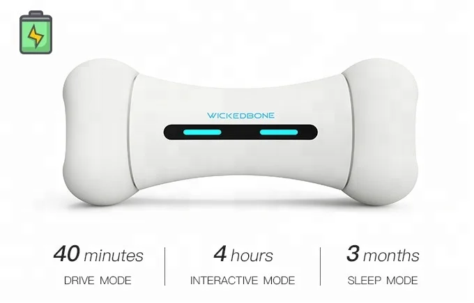 2019 new design R&D products Wickedbone Smart dog toy for smart dog  Worlds First Smart and interactive Dog Toy