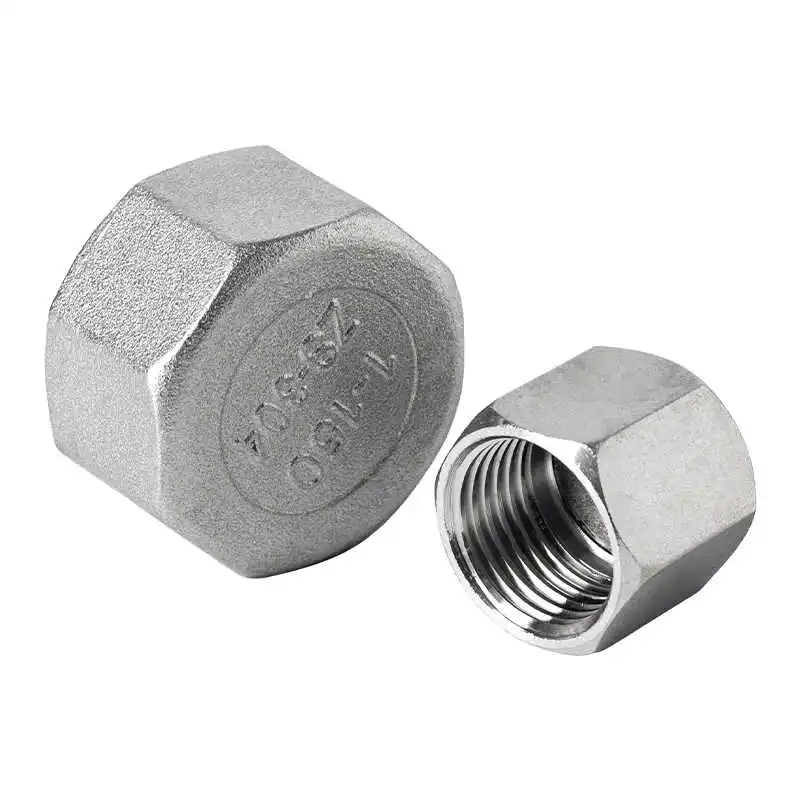 304 stainless steel hexagon cap 316 pipe plug internal thread multi-lateral internal wire plug female thread head