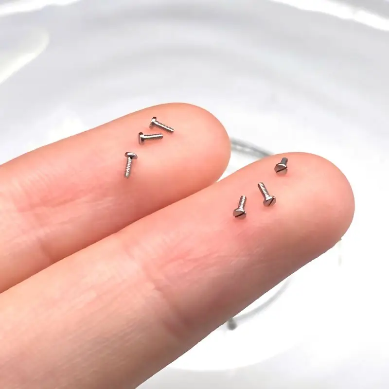 Stainless Steel 304 m1.2 m1.4 m1.6 m2 m2.5 Ultra Low Head Mini Screws Slotted Drive Machine Small Screws