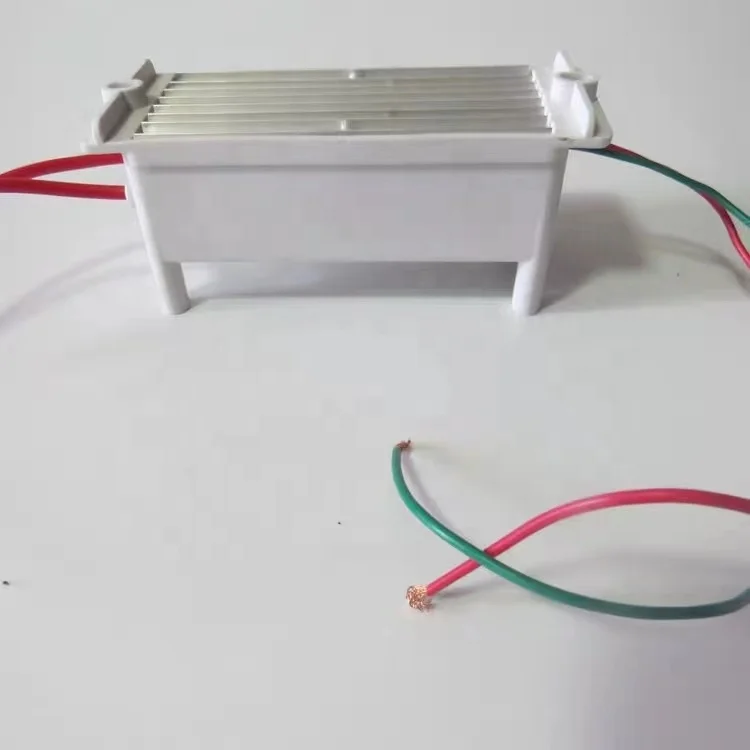 
110 В или 220 В источник питания, генератор озона, источник питания, трансформатор озона 