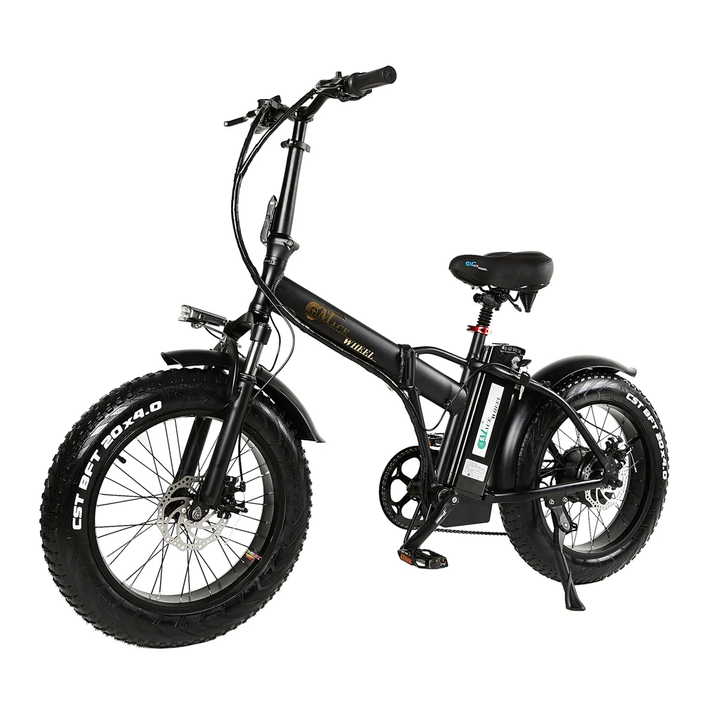 European Stock Light Weight Hot Sales Carrier EU Regulations Outdoor Electric Bicycle