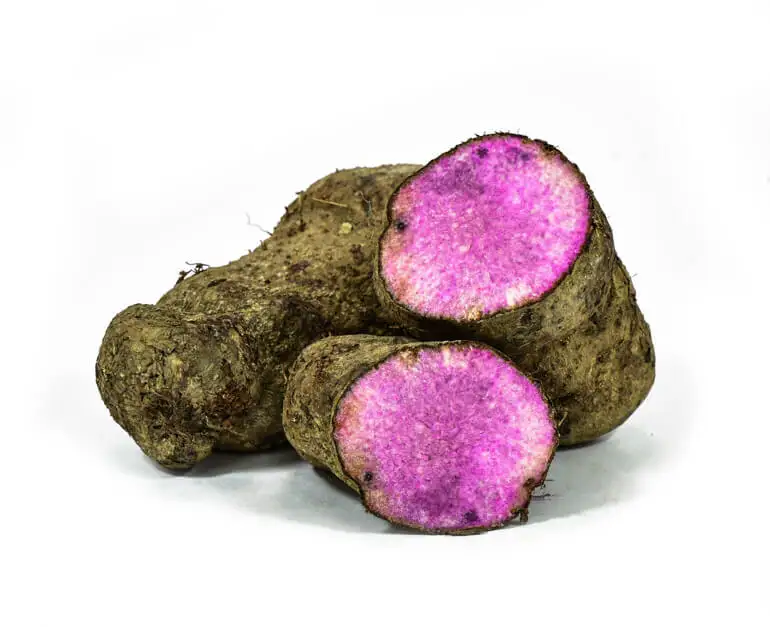 FRESH PURPLE YAM- TOP VEGETABLES EXPORTERS FRESH WITH THE BEST PRICE FROM VIETNAM 2022