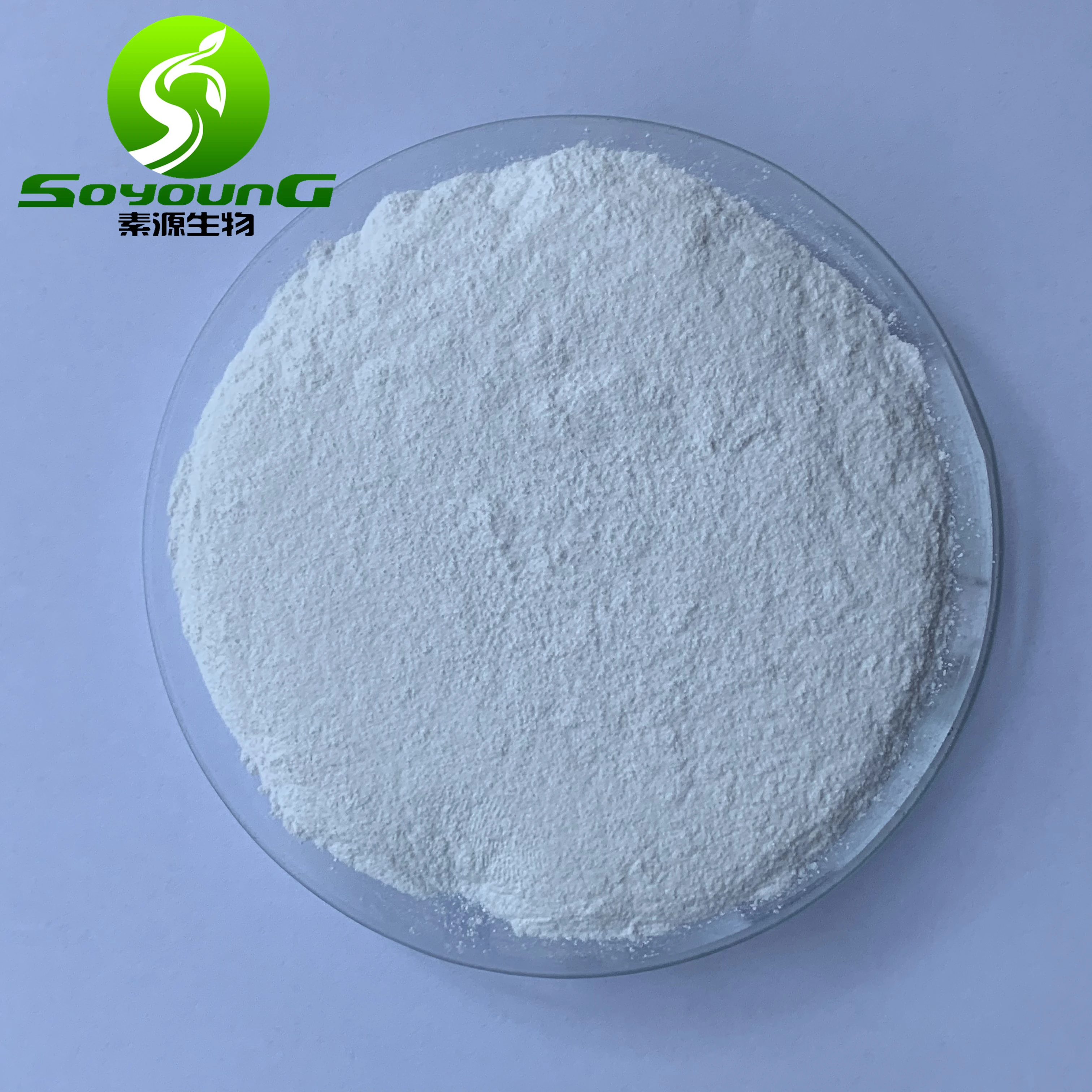 
poria cocos mushroom 10:1 poria cocos extract 