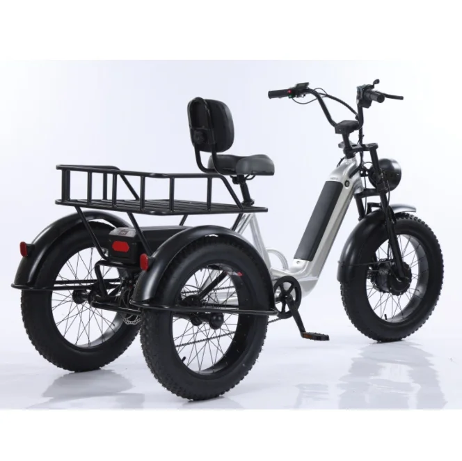 Portable Electric Tricycle Pick Up Children And Elderly People To Buy Food Moped