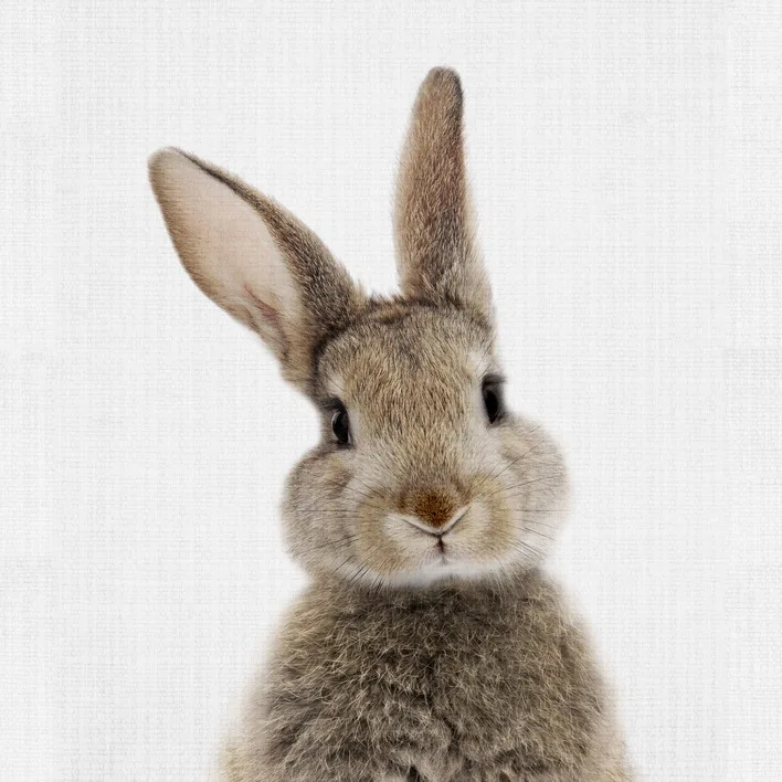 Фотография животных Картина на холсте милый кролик Цветочной корзине художественные принты настенные украшения украшение для спальни