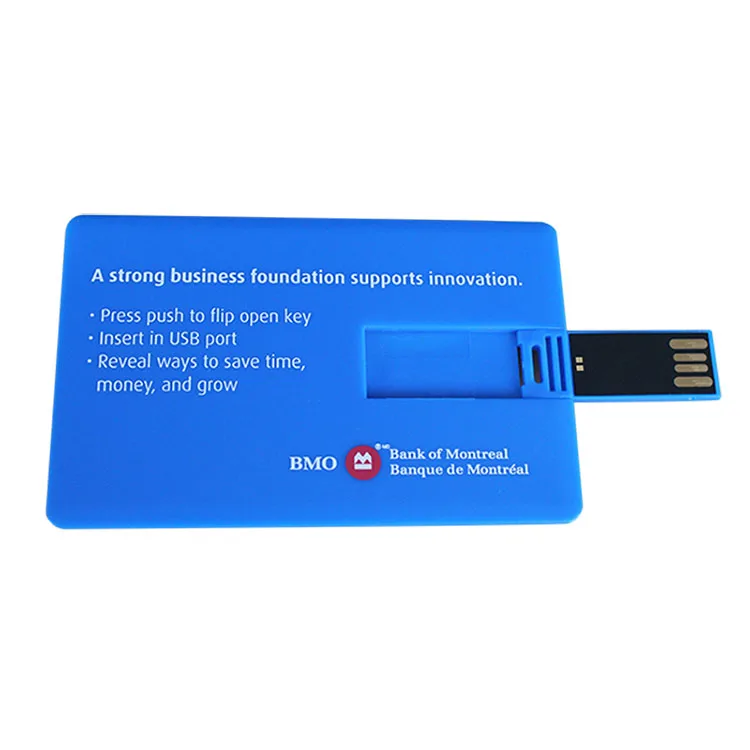 Оптовая продажа с завода полноцветный USB-накопитель для безопасной