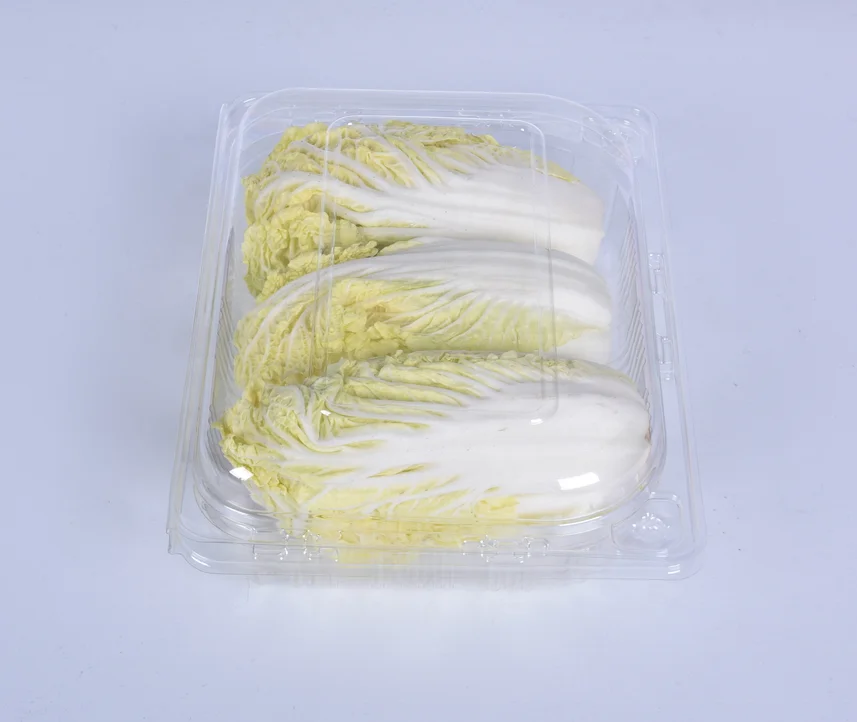 Recycled disposable PET clear plastic blister clamshell fruit vegetable container packaging box