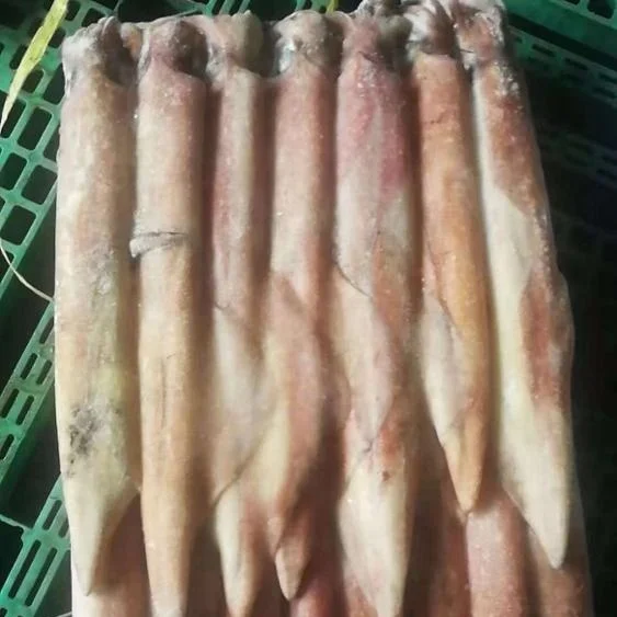 Good Sale Frozen Indonesia Red Squid