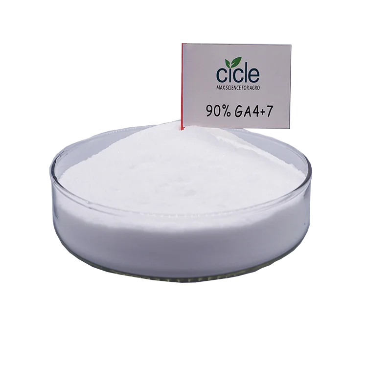 Gibberellic acid GA3 GA4+7 90%TC plant growth regulator improve plant growth increase farmer income