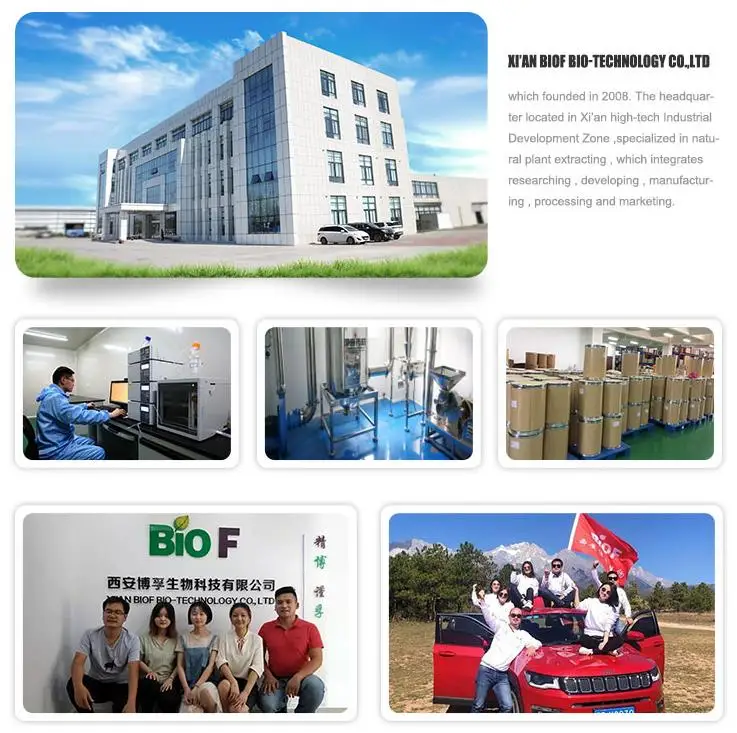 
orgain hydrolyzed marine collagen wholesale best collagen peptides powder private label supplement pure for skin 