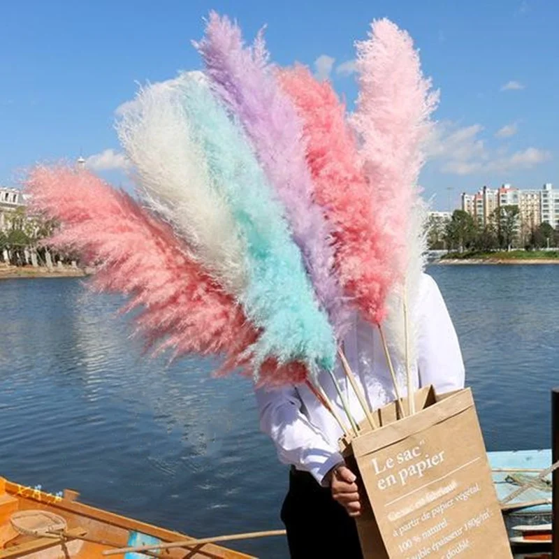 
2020 New product Wholesale dried flower dried plants immortal Eternal Lasting Long Preserved Dried Pulrush Pampas Grass 