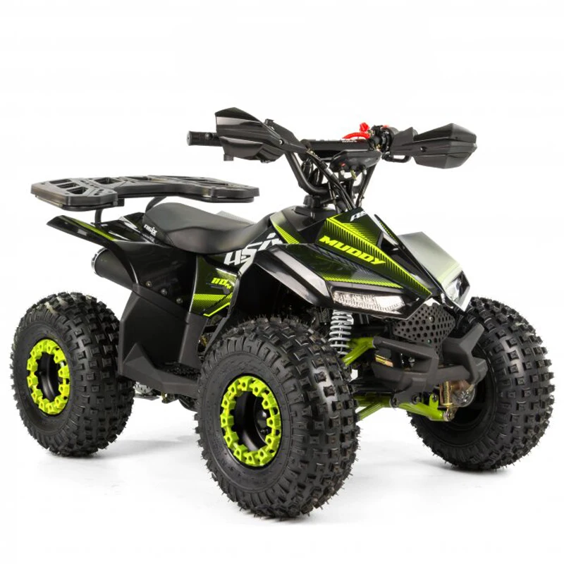 Tao Motor 2024 Kid Automatic with Reverse Chain Drive Mini Quad Bike 110cc ATV for Children