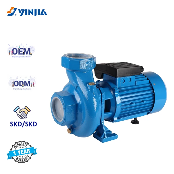 High Quality 0.75HP Max Flow Centrifugal Water Pump for Irrigation and Agriculture Customizable for Clean Water