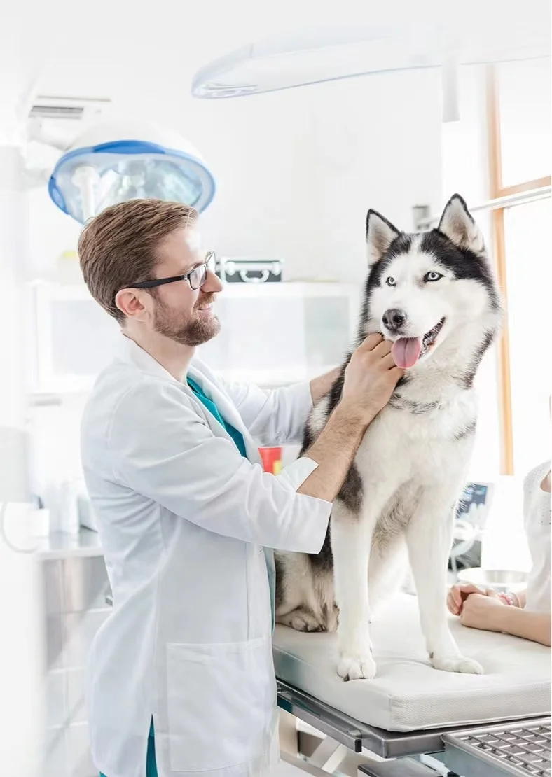 Universal ISO 134.2khz  microchip rfid glass capsule tag 1.25*7mm animal pet microchip and syringe