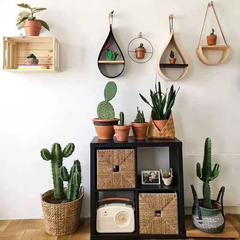 Wholesale different kinds pot cactus plant bonsai home office desk decoration