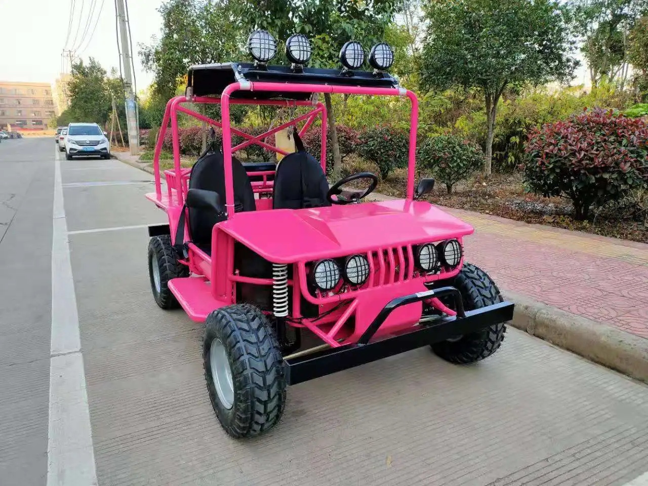 Крутой 200cc багги бензиновый квадроцикл UTV 2WD 4WD мини Багги внедорожник