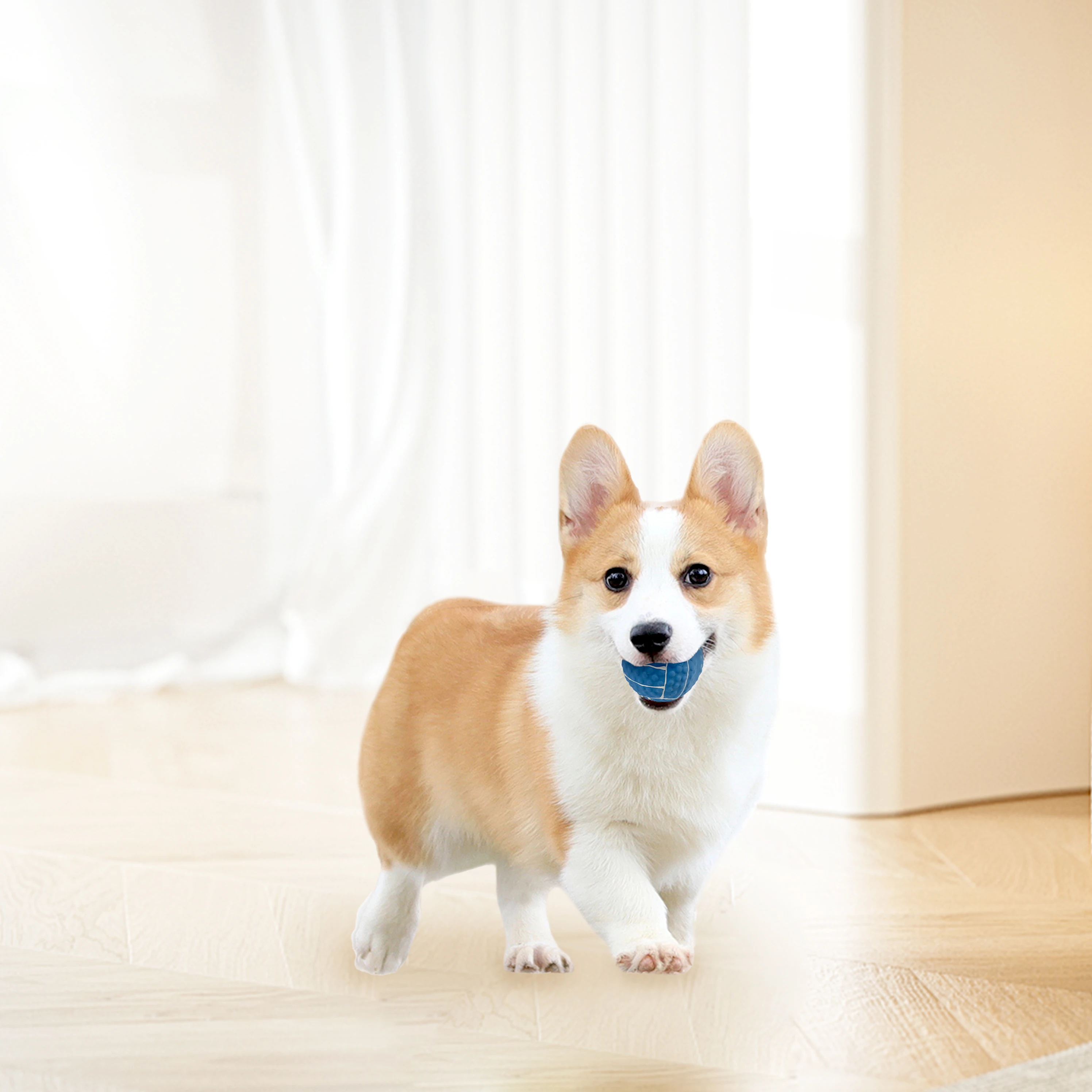 C4P Factory direct sale dog squeak soft  interactive dog toy latex puppy toy for small dogs