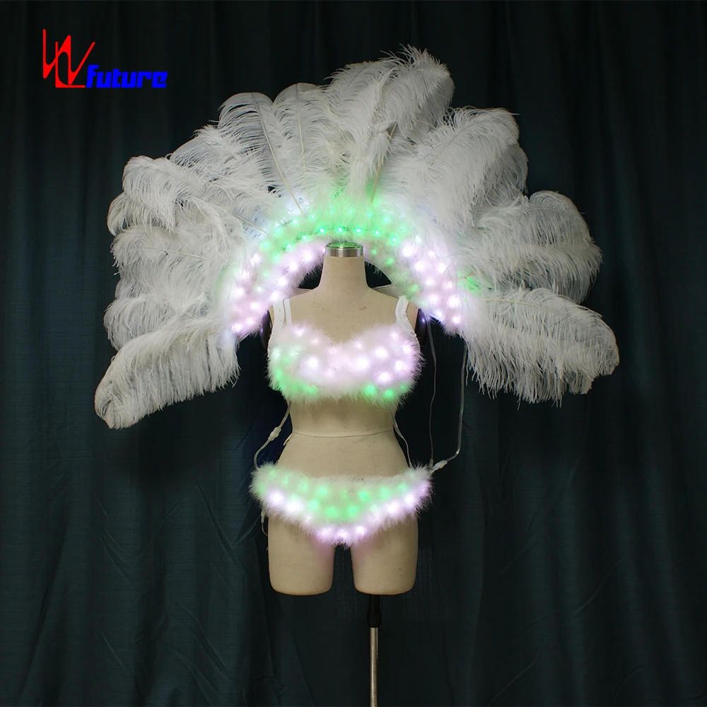 RF remote LED feather sexy carnival costume ,led dress with big Feather wings ,glow in the dark dresses